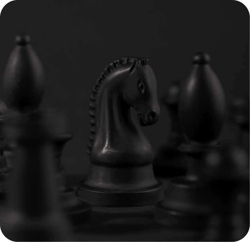 chess horse